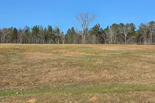 3879 Caney Head Rd, Franklin, GA 30217 - Photo 60