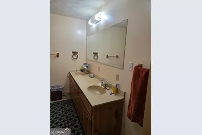 3879 Caney Head Road, Franklin, GA 30217 - Photo 24