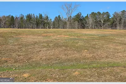 3879 Caney Head Road, Franklin, GA 30217 - Photo 66