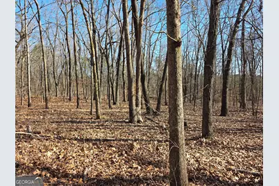 3879 Caney Head Road, Franklin, GA 30217 - Photo 44