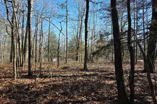 3879 Caney Head Rd, Franklin, GA 30217 - Photo 62