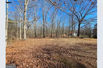 3879 Caney Head Road, Franklin, GA 30217 - Photo 60