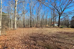 3879 Caney Head Rd, Franklin, GA 30217 - Photo 60