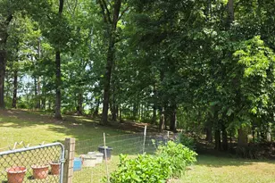 3879 Caney Head Rd, Franklin, GA 30217 - Photo 10