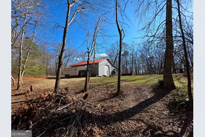 3879 Caney Head Road, Franklin, GA 30217 - Photo 6