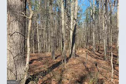 3879 Caney Head Road, Franklin, GA 30217 - Photo 52