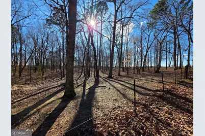 3879 Caney Head Road, Franklin, GA 30217 - Photo 56