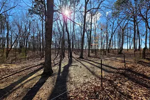 3879 Caney Head Rd, Franklin, GA 30217 - Photo 56