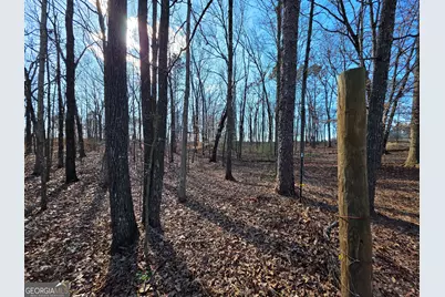 3879 Caney Head Road, Franklin, GA 30217 - Photo 48