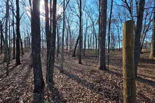 3879 Caney Head Rd, Franklin, GA 30217 - Photo 48