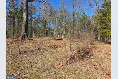 3879 Caney Head Road, Franklin, GA 30217 - Photo 64