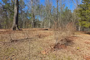 3879 Caney Head Rd, Franklin, GA 30217 - Photo 64