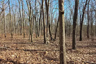 3879 Caney Head Rd, Franklin, GA 30217 - Photo 50