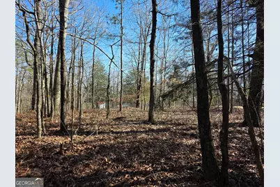 3879 Caney Head Road, Franklin, GA 30217 - Photo 56