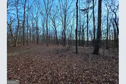 3879 Caney Head Road, Franklin, GA 30217 - Photo 46