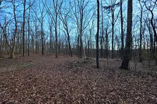 3879 Caney Head Rd, Franklin, GA 30217 - Photo 46