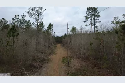 0 Whitaker, Waycross, GA 31503 - Photo 8