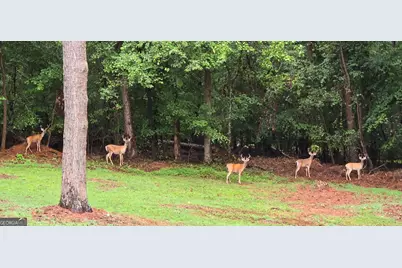 4279 Red Fox Trail, Oakwood, GA 30566 - Photo 66