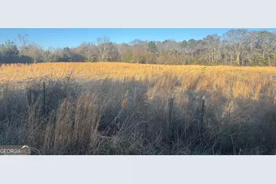 0 Thurman Baccus Rd, Social Circle, GA 30025 - Photo 8