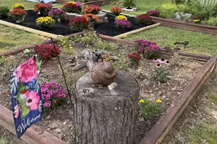 1209 N Hampton Dr, Hampton, GA 30228 - Photo 38