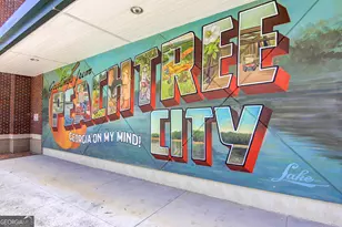 315 Corrigan Trail, Peachtree City, GA 30269 - Photo 84