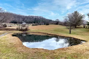 178 Barnwood Rd, Blairsville, GA 30512 - Photo 10