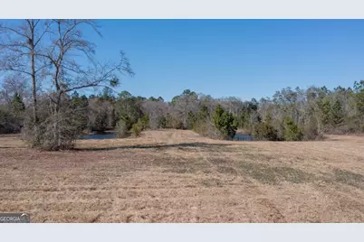 781 Stafford Road, Waynesville, GA 31566 - Photo 6