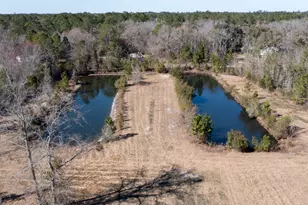 781 Stafford Rd, Waynesville, GA 31566 - Photo 10