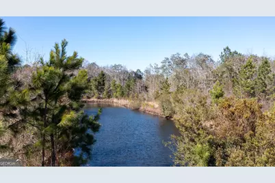 781 Stafford Road, Waynesville, GA 31566 - Photo 4