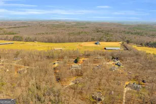 141 Shadow Walk Dr, Mount Airy, GA 30563 - Photo 58