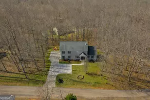 141 Shadow Walk Dr, Mount Airy, GA 30563 - Photo 54