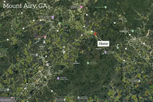 141 Shadow Walk Dr, Mount Airy, GA 30563 - Photo 60