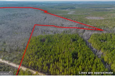 0 Banner Rd, Waycross, GA 31503 - Photo 12