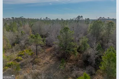 0 Banner Rd, Waycross, GA 31503 - Photo 22