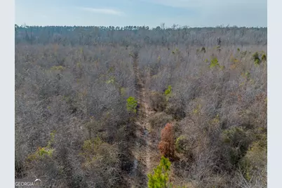 0 Banner Road, Waycross, GA 31503 - Photo 16