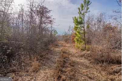 0 Banner Road, Waycross, GA 31503 - Photo 34