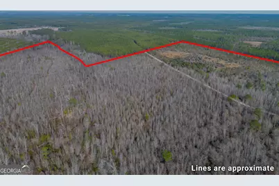 0 Banner Rd, Waycross, GA 31503 - Photo 10