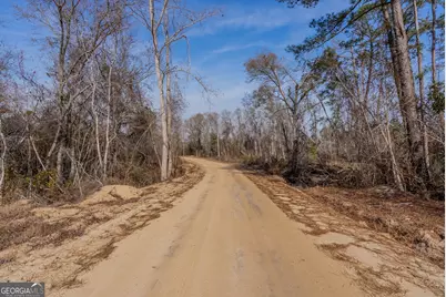 0 Banner Rd, Waycross, GA 31503 - Photo 36
