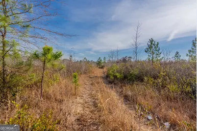 0 Banner Rd, Waycross, GA 31503 - Photo 38