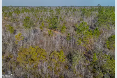 0 Banner Rd, Waycross, GA 31503 - Photo 18