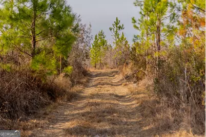 0 Banner Rd, Waycross, GA 31503 - Photo 46