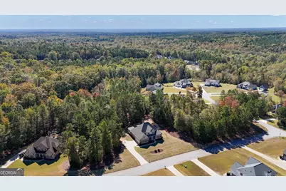 360 Walden Pond Way, Senoia, GA 30276 - Photo 72