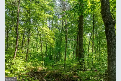 Lot 34 Winfield Circle, Blue Ridge, GA 30513 - Photo 4