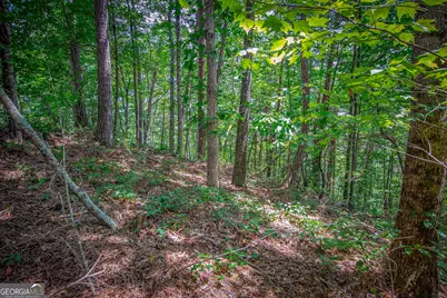 Lot 104 Mountain Creek Hollow Drive, Talking Rock, GA 30175 - Photo 6