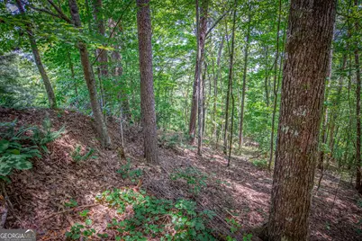 Lot 104 Mountain Creek Hollow Drive, Talking Rock, GA 30175 - Photo 8