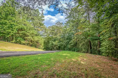 Lot 104 Mountain Creek Hollow Drive, Talking Rock, GA 30175 - Photo 10
