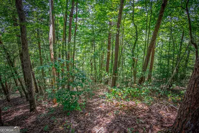 Lot 104 Mountain Creek Hollow Drive, Talking Rock, GA 30175 - Photo 14