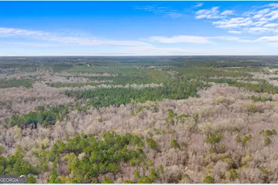 1000 Old River Road S, Brooklet, GA 30415 - Photo 16