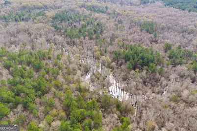 1000 Old River Road S, Brooklet, GA 30415 - Photo 18