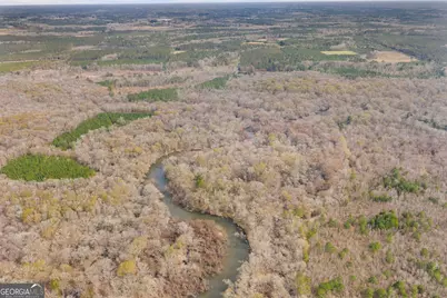 1000 Old River Road S, Brooklet, GA 30415 - Photo 22